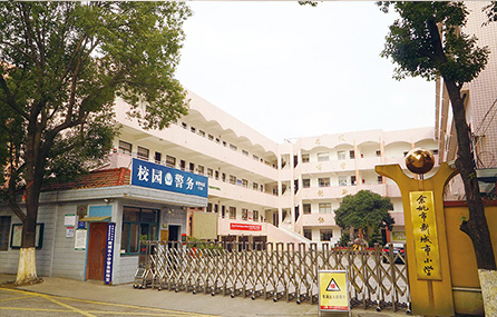 New City Primary School